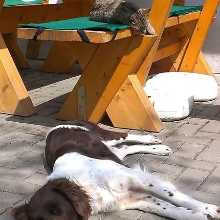 Sommerfrische * Nebra