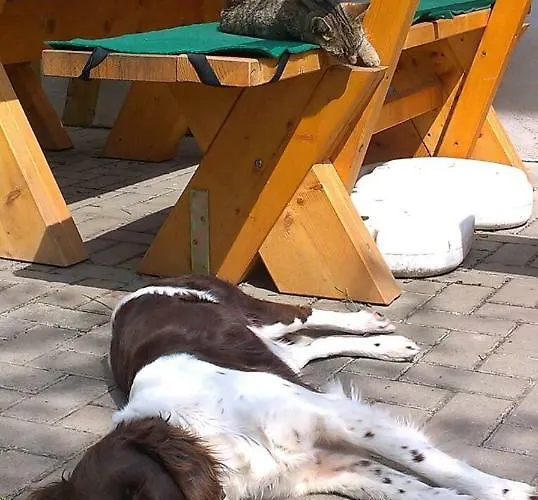 Sommerfrische * Nebra